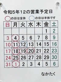 IMG_2023-12-01-122517.jpeg